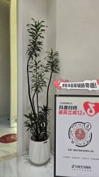 -和颜一美轻医美连锁