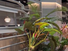 -湊湊火锅·茶憩(皇姑万象汇店)