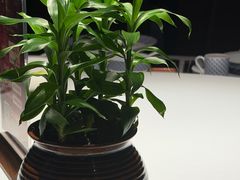 -炳胜品味(珠江新城店)