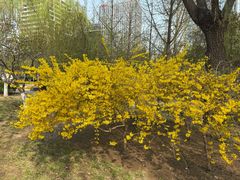 -元大都城垣遗址公园