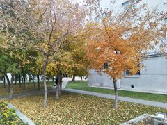 -东北大学(南湖校区)