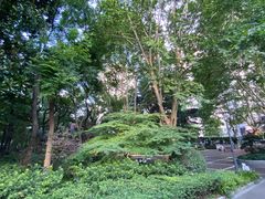 -华山儿童公园