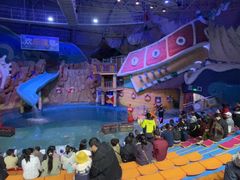 -烟台海昌鲸鲨海洋公园