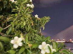 -粥旺庄(芳村店)