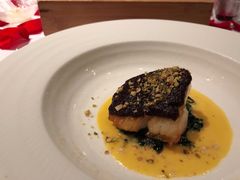 -蝶舍·MAISON PAPILLON