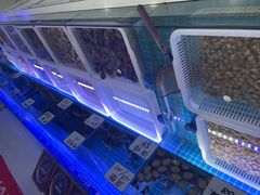 -小海丁
