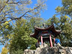 -莲湖公园