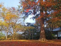 -三千院