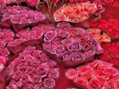 -双季花艺园艺市场(浦东店)