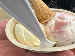 -极拉图·现制冰淇淋(大卫城店)