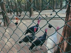 -南京金牛湖风景区