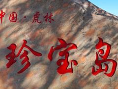 -珍宝岛