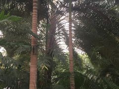 -龙达温泉生态城