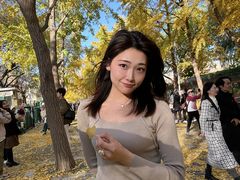 -三里屯东五街银杏大道