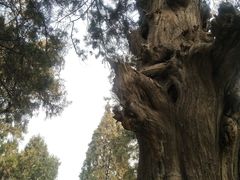 -关林
