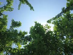 -上海山野camping·户外天幕烧烤·团建拓展营地