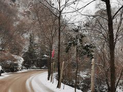 -西安祥峪森林公园