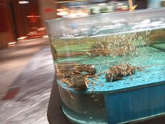 -阿伟海鲜楼·福建菜(延寿店)