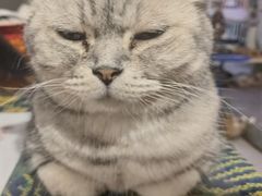 -平行世界·猫咖(首经贸店)