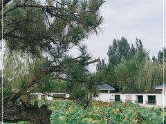 -廊坊市自然公园