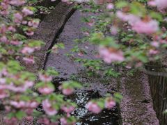 -川悦壹号·川菜(蠡溪路店)