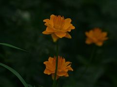 -螺丰汇柳州螺蛳粉(苹果园地铁站F口店)