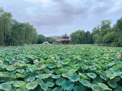 -莲池书院博物馆
