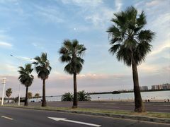 -柳湖沙月沙滩公园
