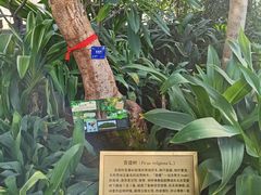 -国家植物园南园