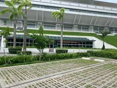 -泰国村酒楼(室内体育馆店)