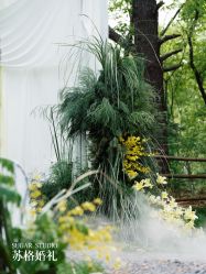 -Sugar苏格婚礼策划工作室