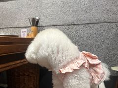 -楠火锅(仁恒梦中心店)