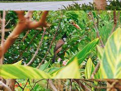 -云溪植物园