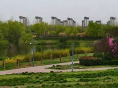 -洨河生态公园
