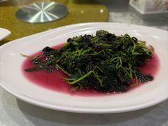 -阿巧一号私房菜(止园路店)