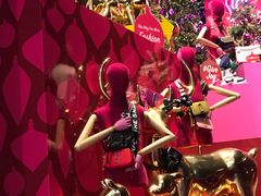 -DFS旗下T广场(新加坡店)