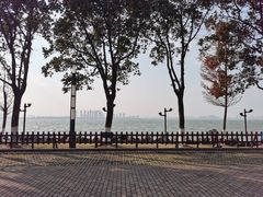 -白鹭园