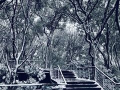 -上海佘山国家森林公园西佘山园