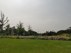 -九里河湿地公园