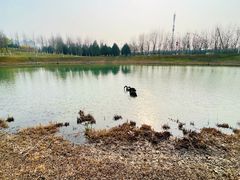 -河北省园博园