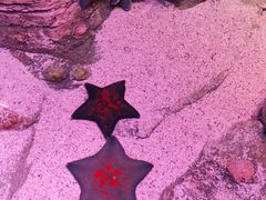 -沈阳海洋探索中心