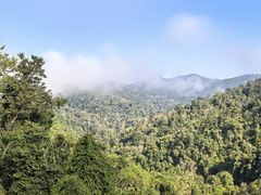 -野象谷景区