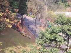 -广州市白云山风景名胜区