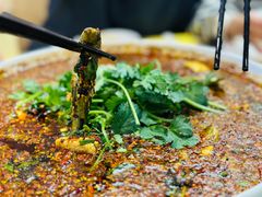 -胖大姐黄辣丁鱼庄(新津店)