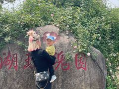 -鹅湖玫瑰文化园
