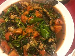 遇龙河剑骨鱼—阳朔特色啤酒鱼-生态苑农庄(十里画廊遇龙河店)