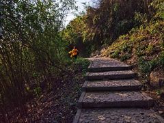 -上海佘山国家森林公园天马山园