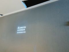 -星河寰宇IMAX影城(星河WORLD·COCO Park店)