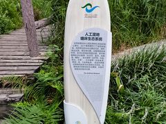 -成都市活水公园