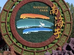 -南海子公园